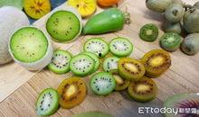 阿达娱乐吃瓜,揭秘娱乐圈最新吃瓜事件，带你领略明星幕后故事