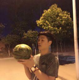 摆烂吃瓜娱乐圈文女主