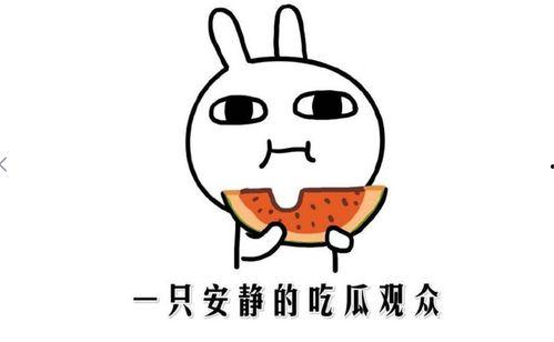 娱乐吃瓜酱自闭孙子,揭秘背后的感人故事