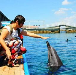 娱乐718.吃瓜三亚,揭秘718吃瓜狂欢背后的精彩故事