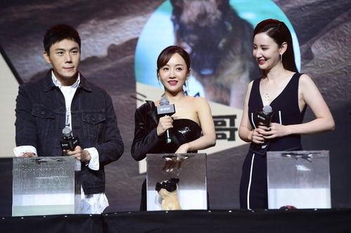 娱乐圈吃瓜爆料背景图片,揭秘吃瓜爆料的背后真相