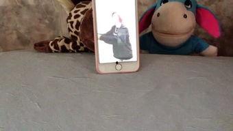 娱乐吃瓜Jerry,Jerry带你揭秘娱乐圈那些事儿