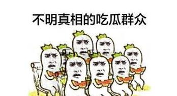 吃瓜群众带你看娱乐,吃瓜群众带你领略明星幕后故事
