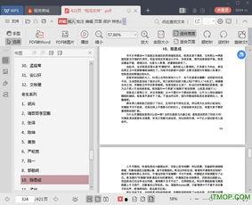 娱乐圈吃瓜全集pdf12页